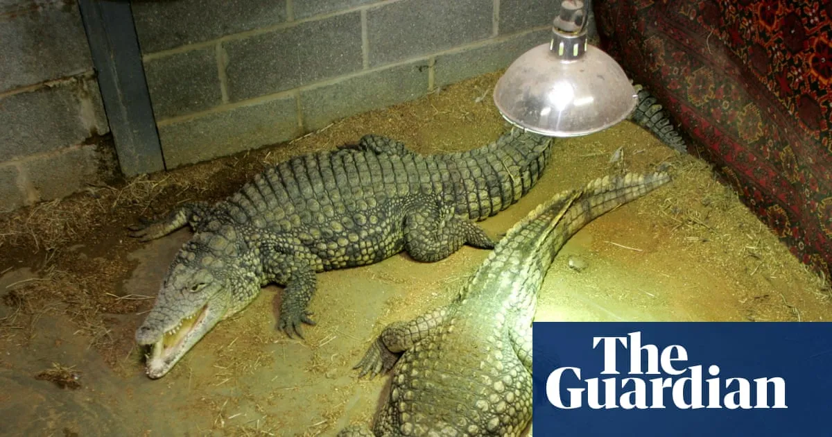 Man arrested after boy, three, injured in Cambridgeshire zoo crocodile enclosure