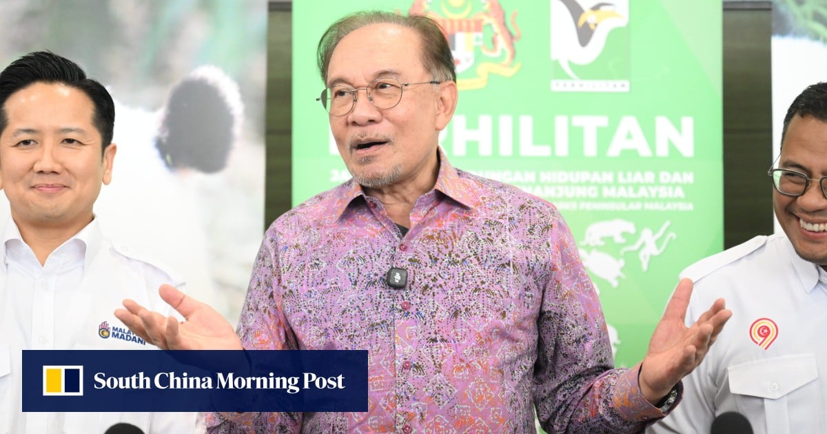 Malaysian reporter’s sedition arrest casts doubts on Anwar’s reform record