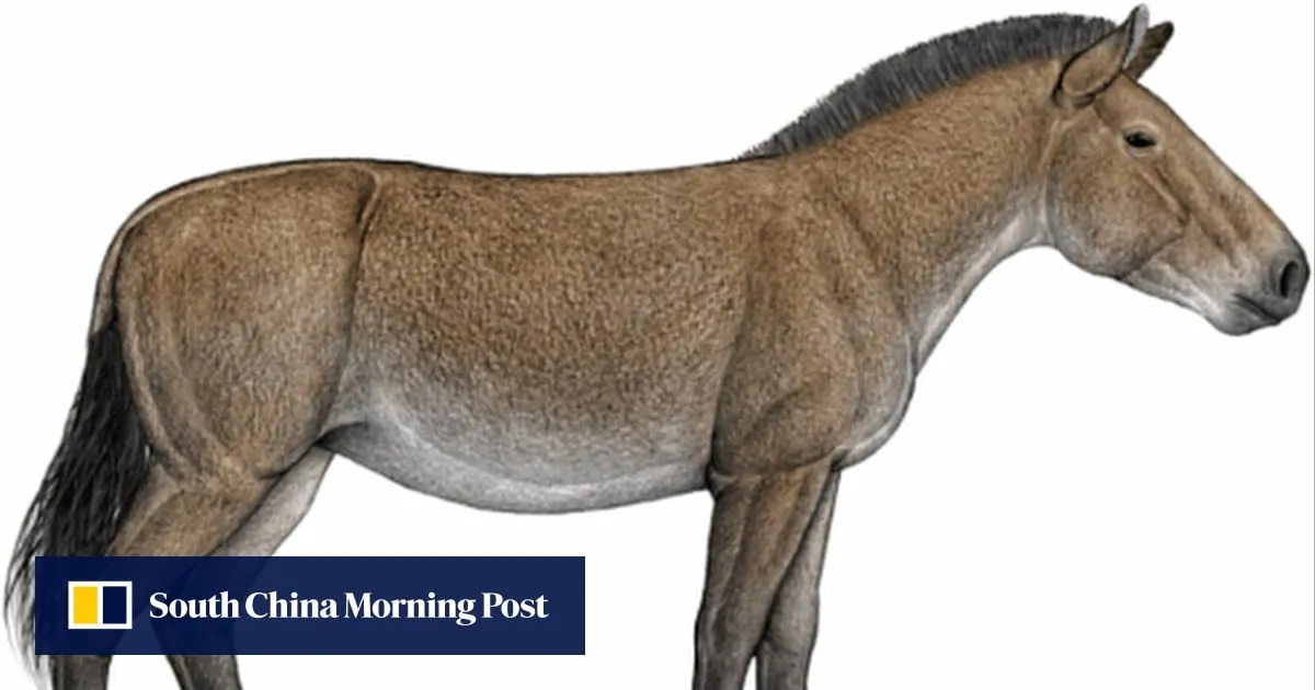 Horses originated in America and reached Europe through China, fossil DNA reveals