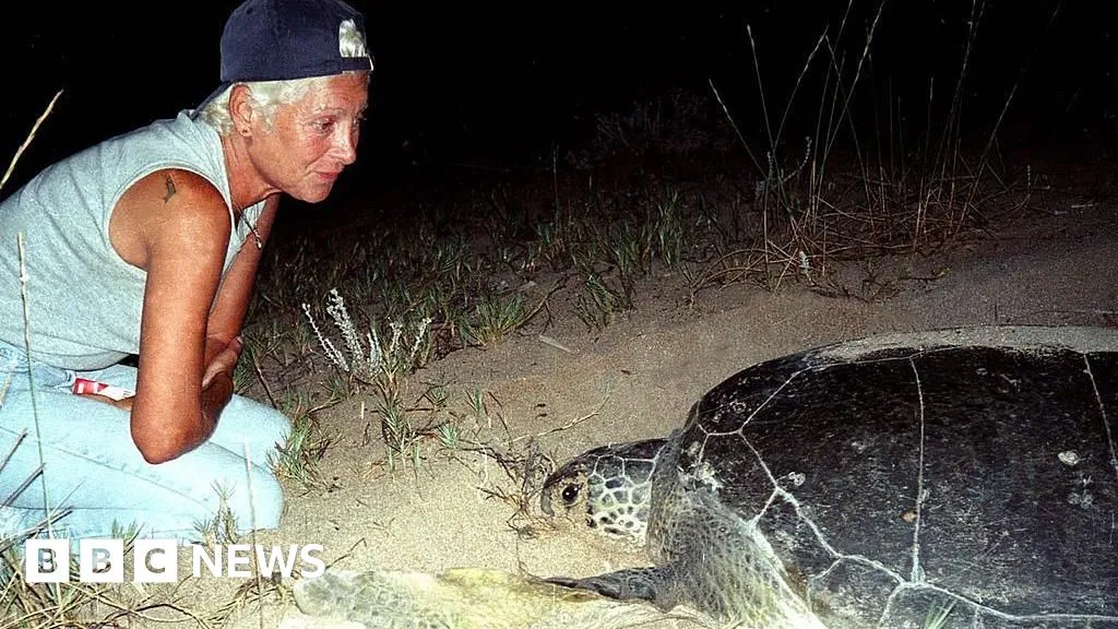 Lebanese turtle conservationist Mona Khalil killed by Israeli strike