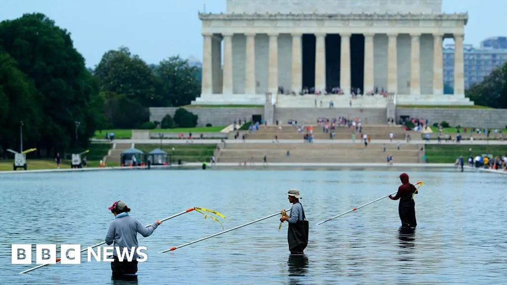 Former Olympian denies vandalising Washington Reflecting Pool after arrest