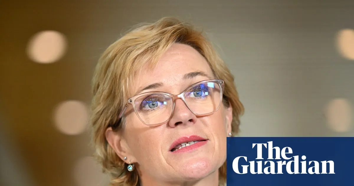 Zali Steggall expected to launch teal party after months of secret talks