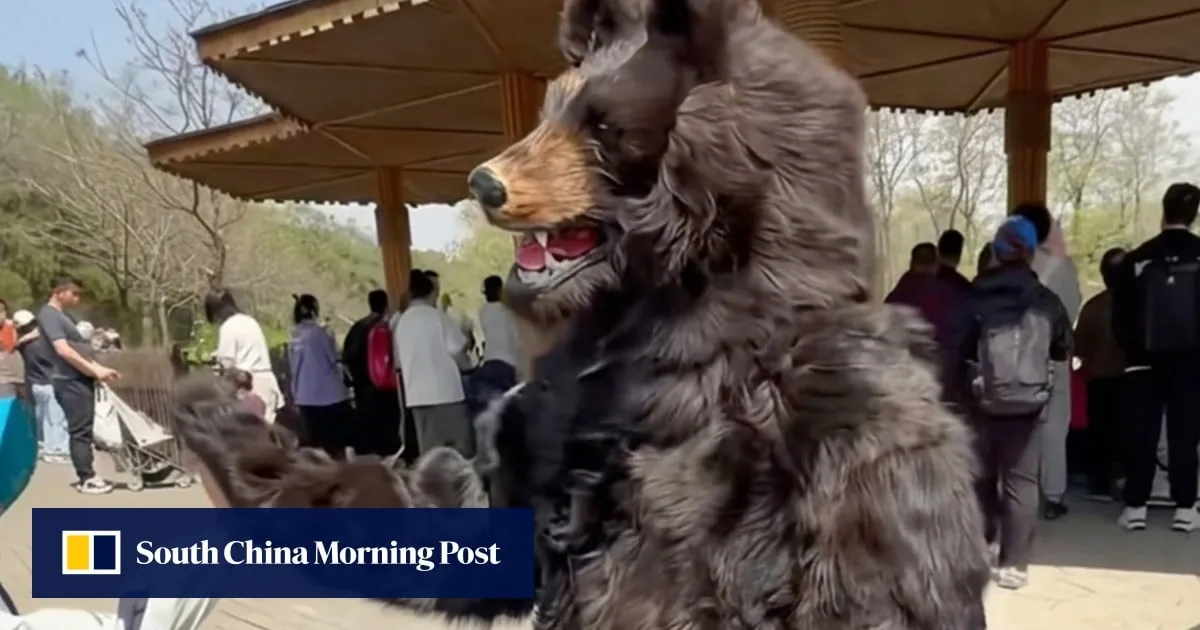 China zoo offers US$15,000 annual salary for bear costume performer with strict silence clause