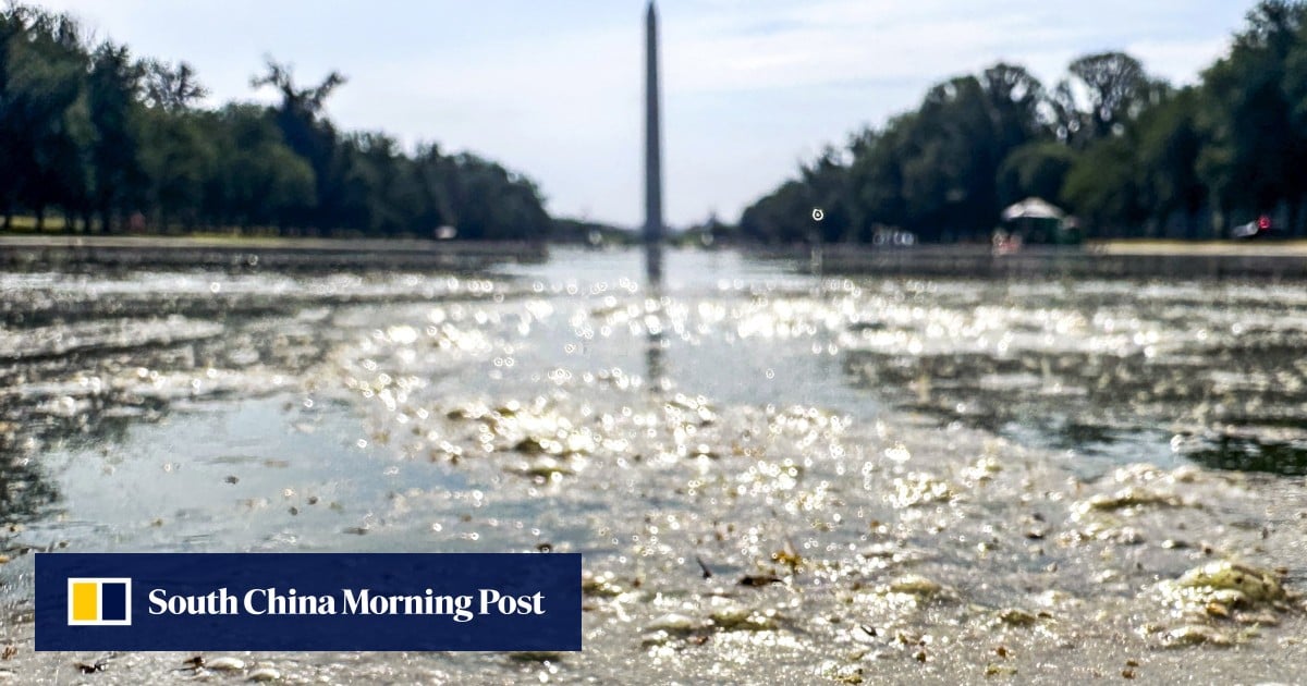 Algae-filled Washington pool to be drained for repairs after US$14.7 million renovation