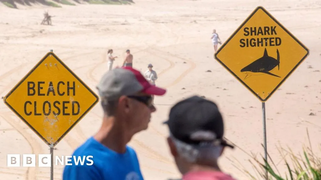 Boy and man seriously injured as Sydney sees three shark attacks in two days