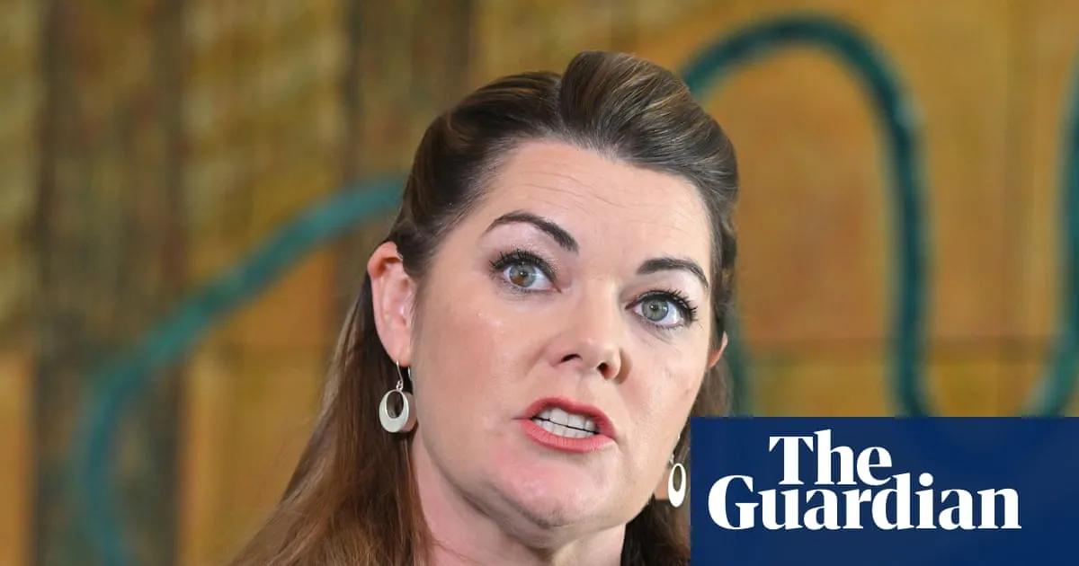 David Pocock urges Albanese to stop tech companies training AI models using Australian content