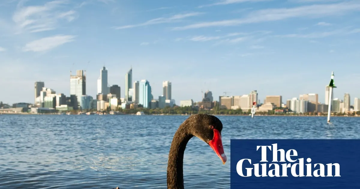 Tasmanian devils, swift parrots, black swans: the animals at risk if bird flu takes off in Australia