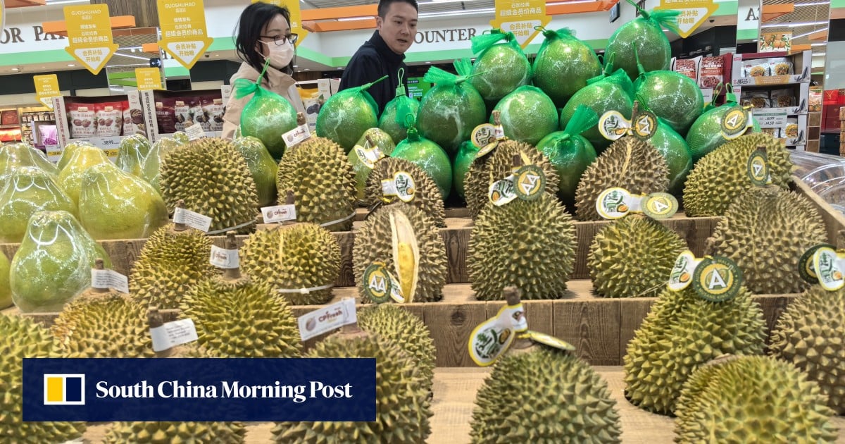 ‘Durian tsunami’ sweeps Malaysia, making premium Musang King dirt cheap