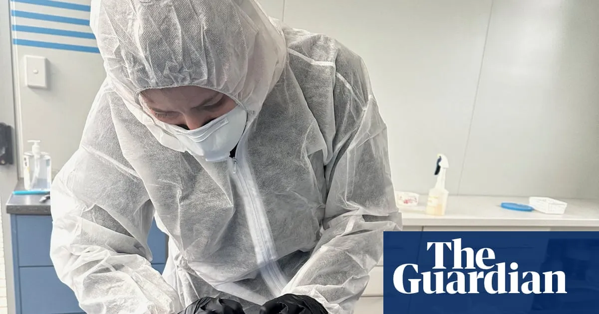Bird flu confirmed in South Australia as infected petrel brings deadly H5N1 cases to three