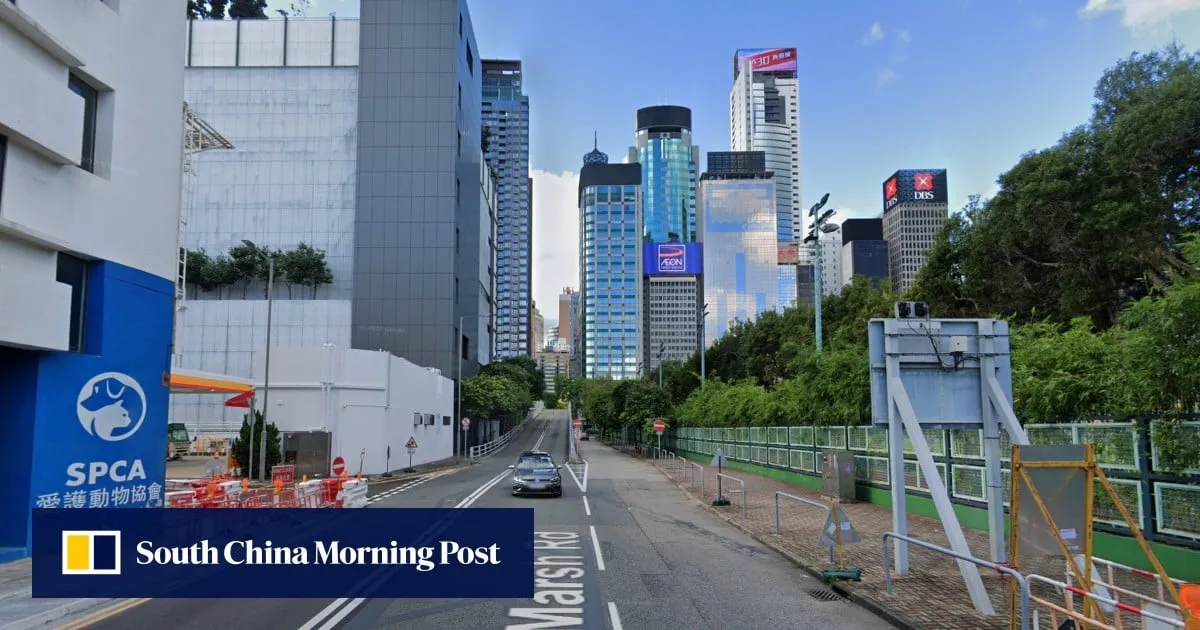 Hong Kong police arrest 15-year-old driver and his father in Wan Chai