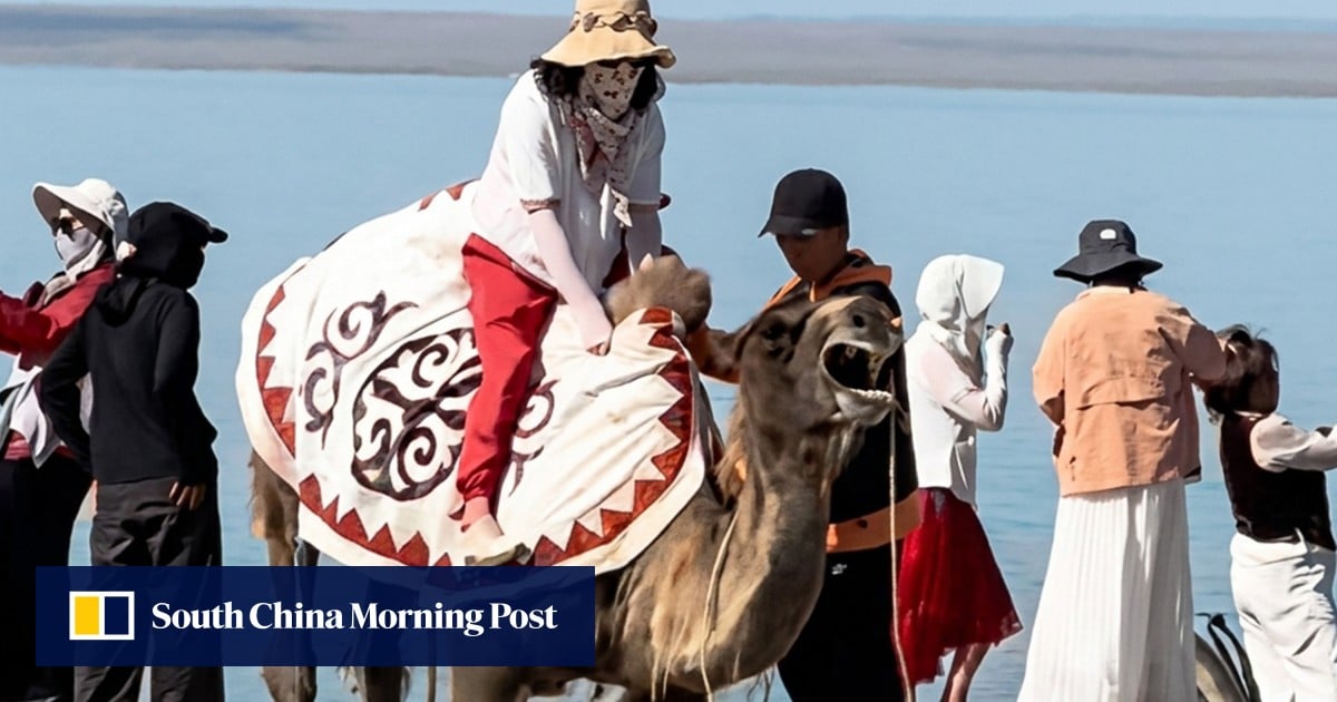 Outrage erupts after distressed tourist-carrying camel in China is forced to its feet