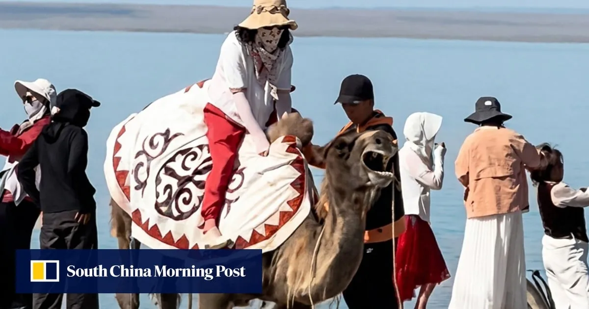 Outrage erupts after distressed tourist-carrying camel in China is forced to its feet
