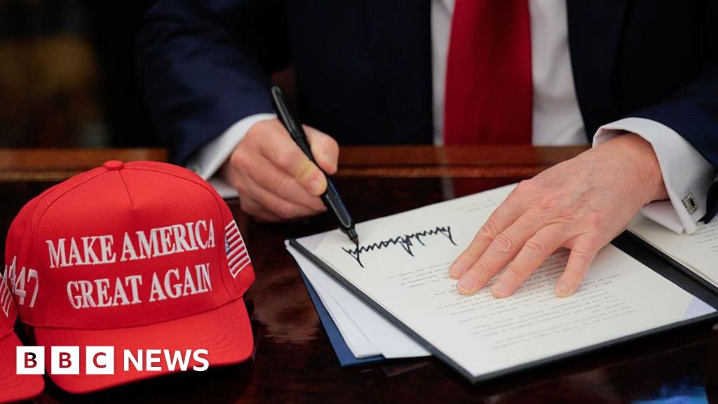 What tariffs has Trump announced and why?