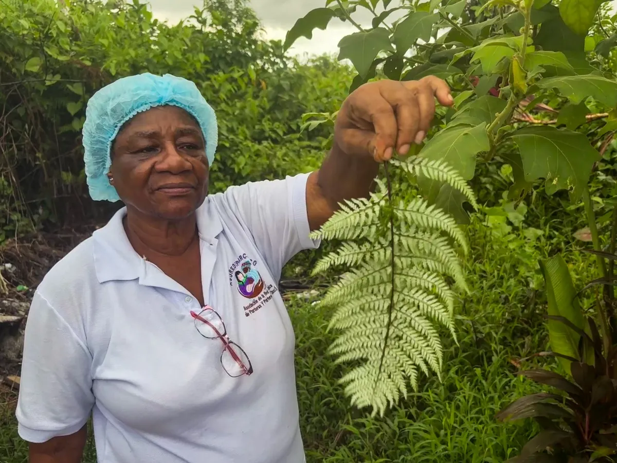 How Colombia’s traditional midwives serve as lifelines to rural communities