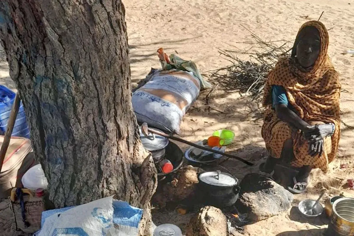 Escaping Darfur: Mothers face starvation under trees in Chad