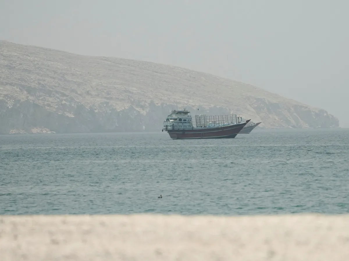 UN agency pauses Hormuz ship evacuation initiative after vessel attacked