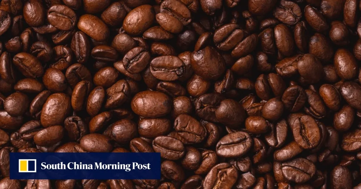 Coffee, chillies and cashews: a new recipe to spice up China-Africa trade relations