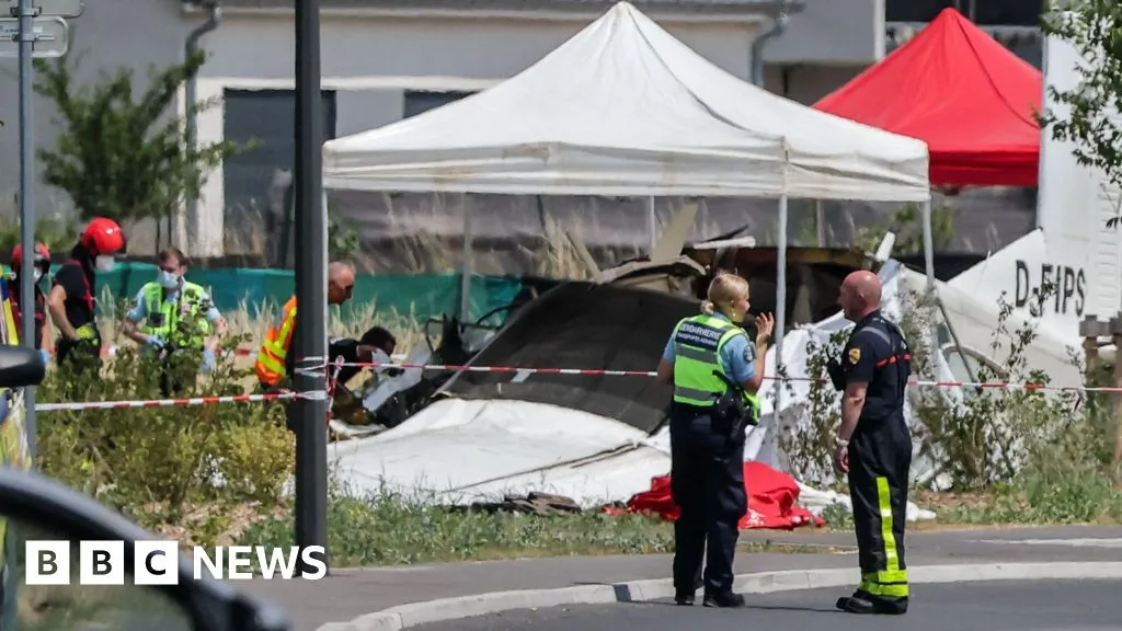 Eleven killed after plane carrying skydivers crashes in eastern France