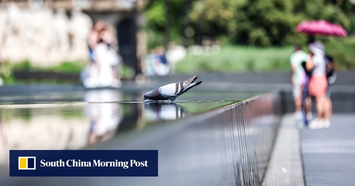 Heatwave grips Eastern Europe after Germany weather breaks records