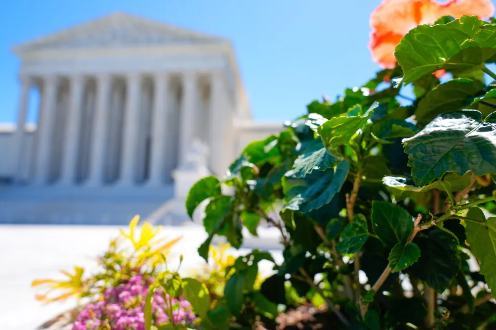 Supreme Court rules states can count late-arriving mailed ballots, rejecting Trump-led challenge