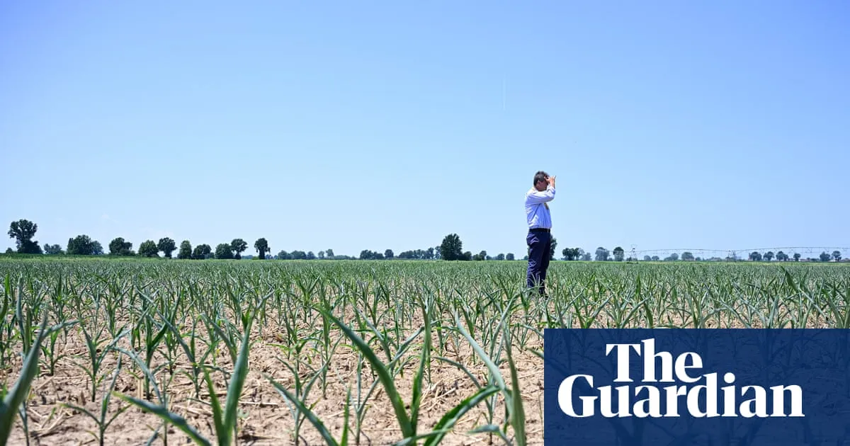 Europe heatwave shows need to reject climate denial ‘lies’, says EU green chief