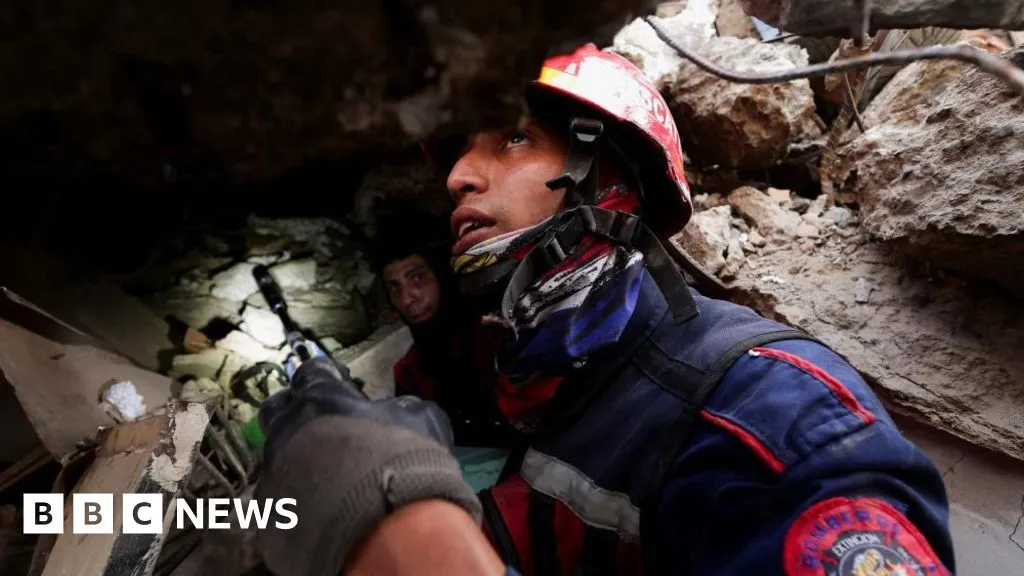 Dogs, drones and sound detectors: How rescuers search for quake survivors