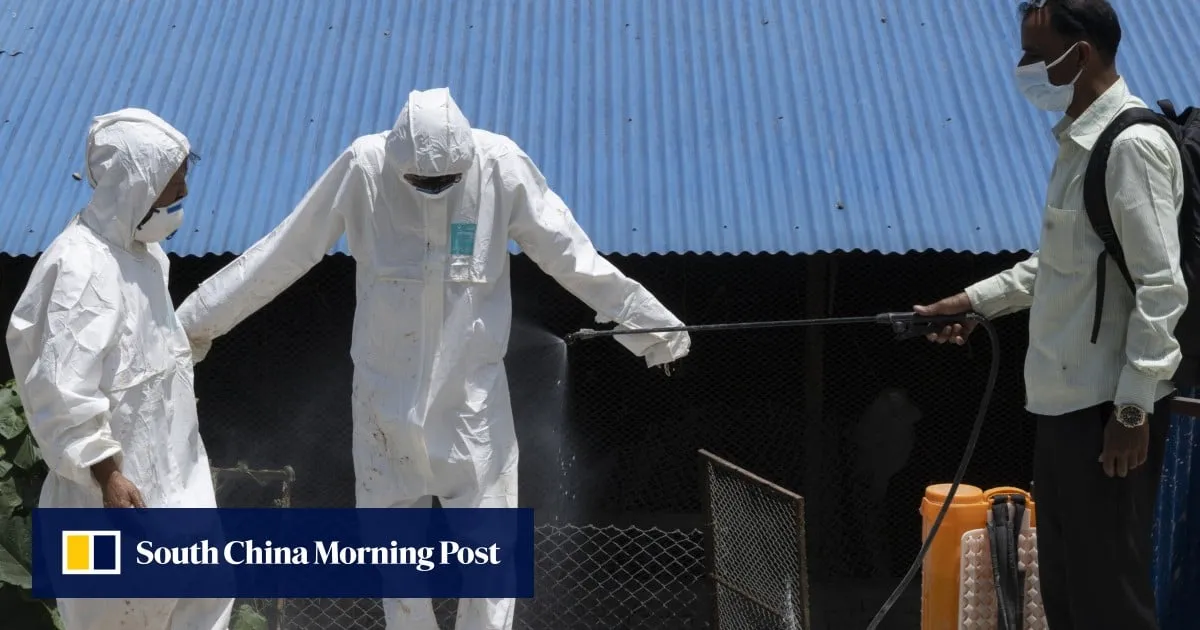Nepal’s bird flu outbreak spreads, breeding pandemic mutation fears