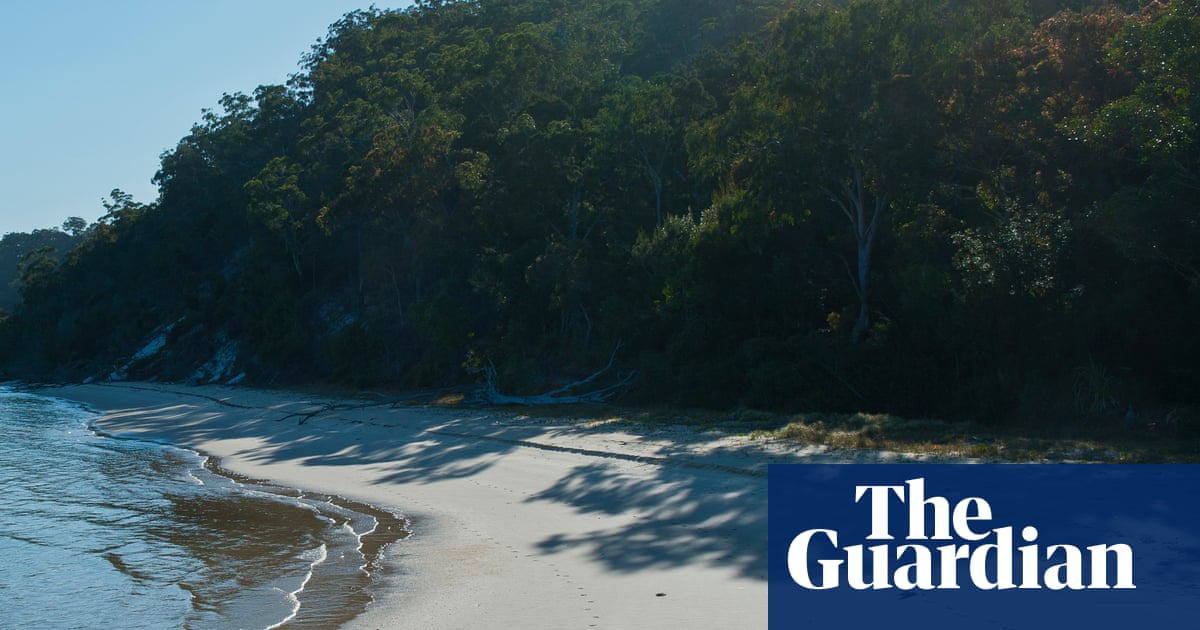 Campsites closed as police investigate possible dingo link to death of Canadian on Australian tourist island K’gari