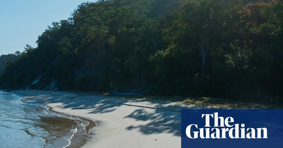 Campsites closed as police investigate possible dingo link to death of Canadian on Australian tourist island K’gari