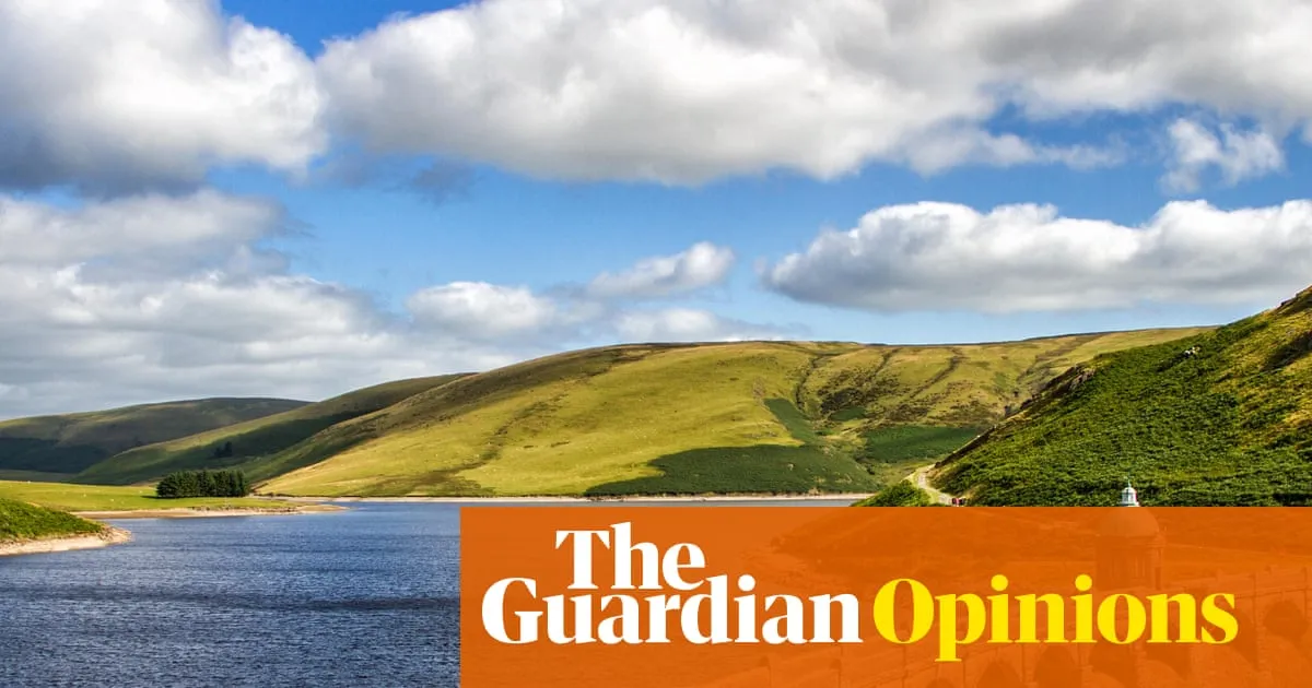 ‘Complicated and expensive’: Burnham is right about the risks of nationalisation | Nils Pratley