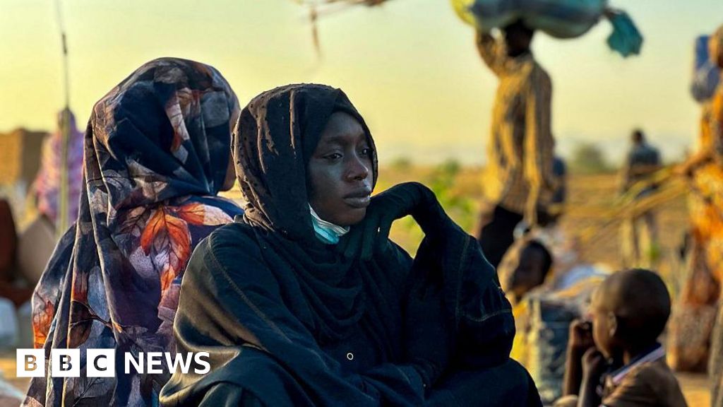 Sudan's RSF committed crimes against humanity in el-Fasher, Amnesty says