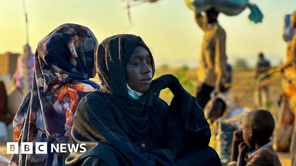 Sudan's RSF committed crimes against humanity in el-Fasher, Amnesty says 