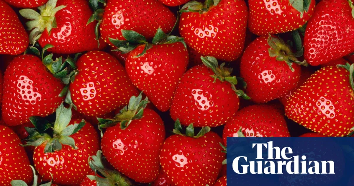 June’s sunshine adds extra sweetness to bumper summer for UK strawberries
