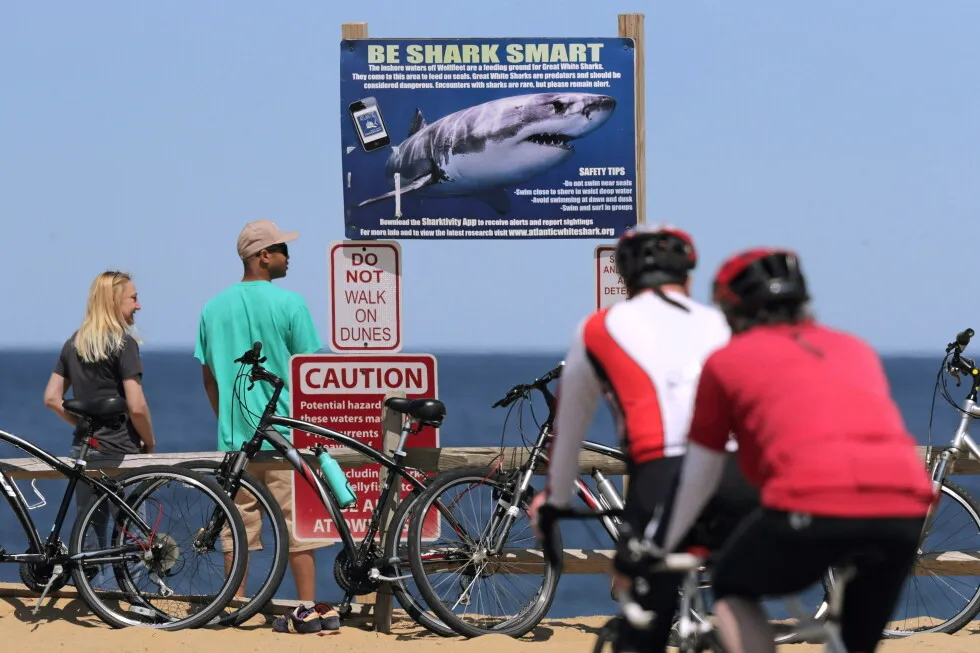 Shark attack on Alabama teen inspires the start of a national alert system