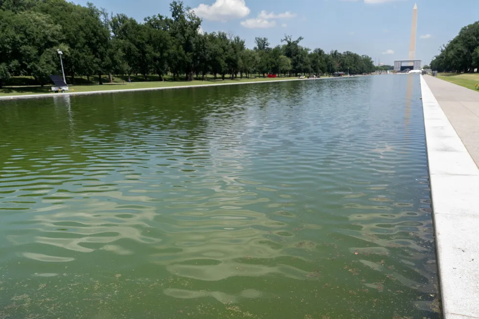 Former Olympian indicted on felony charge in what Trump called Reflecting Pool vandalism