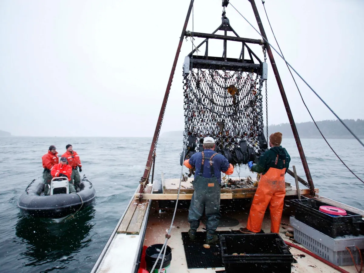 Trump administration aims to cut regulations on US commercial fishing