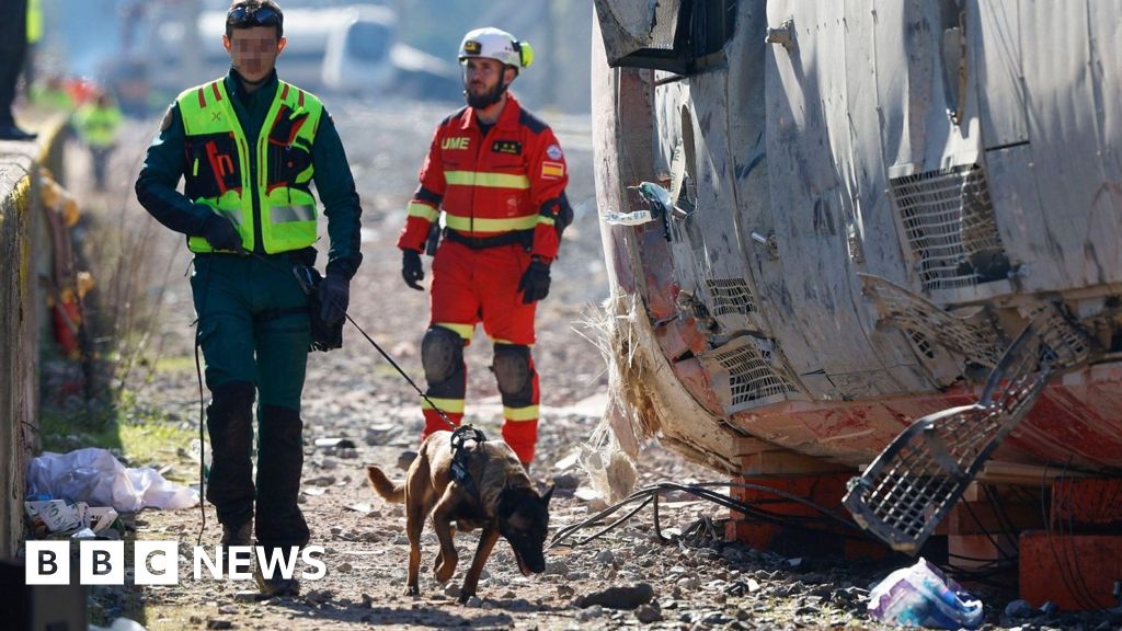 Spain train crash recovery continues as investigators probe 'gap' in rail