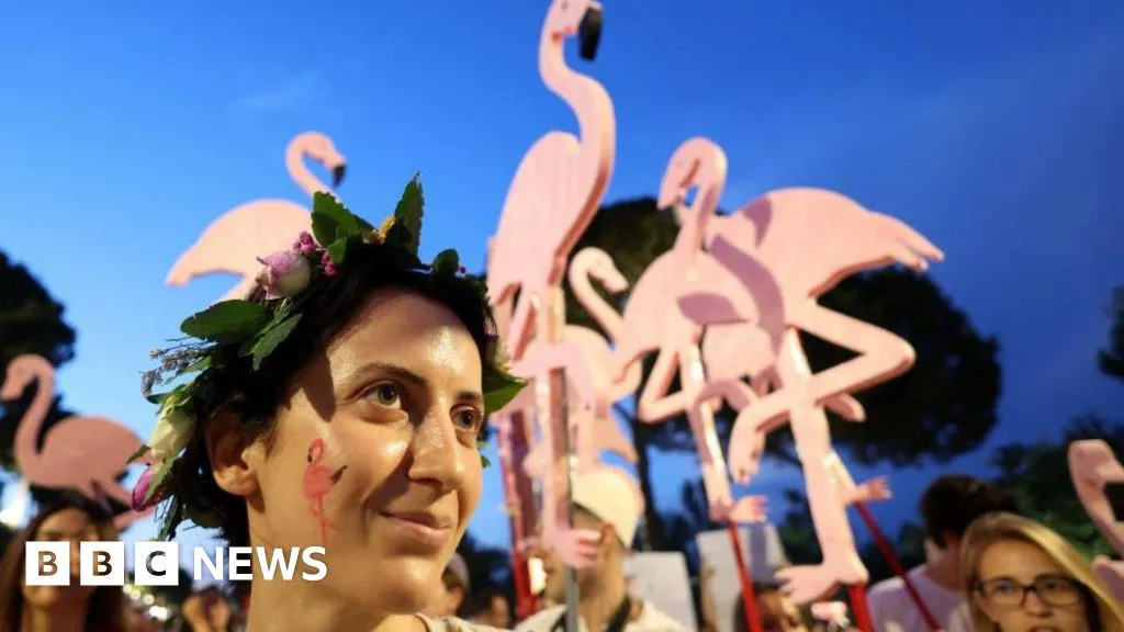 'Flamingo Revolution' takes off as thousands demand Albanian PM's resignation 