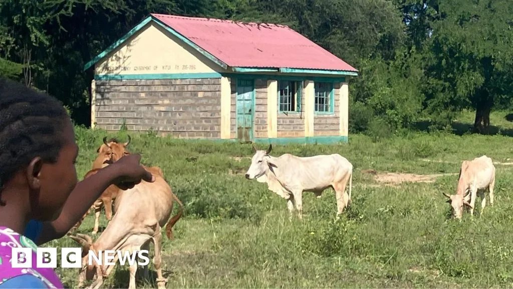 More cows than pupils - what is behind mass school closures in rural Kenya?