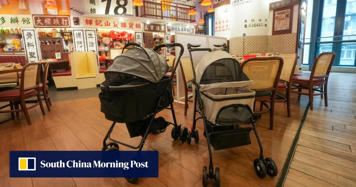 Hong Kong restaurants spend to welcome furry diners under pet-friendly scheme