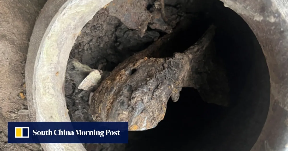 Chinese scientists’ horse-head discovery sheds light on ancient elite sacrificial traditions