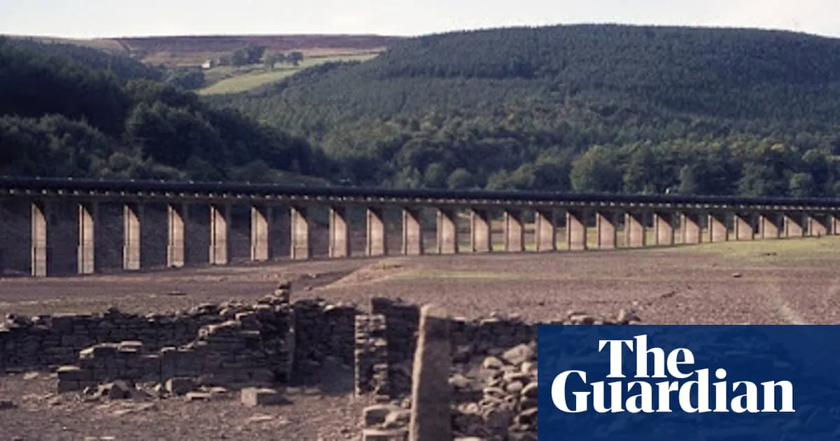 Empty reservoirs, ladybirds and sunstroke: remembering the UK heatwave of 1976