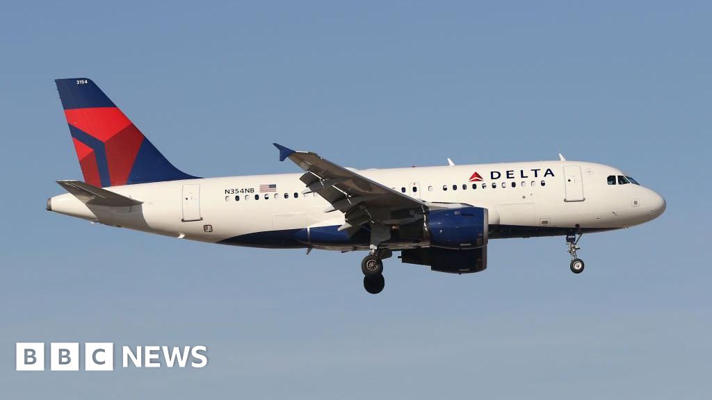 'Definitely felt a big bang': Delta plane hit by firework while landing in Chicago