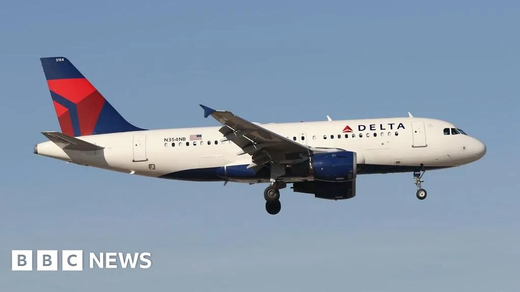 'Definitely felt a big bang': Delta plane hit by firework while landing in Chicago