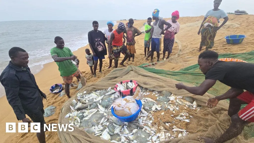 The African fishermen who blame Chinese trawlers for their woes