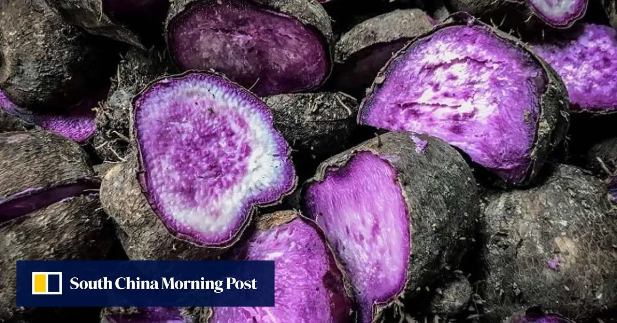 Thai beer heir opens up, Philippine ube’s ‘purple gold rush’: 7 Asia highlights