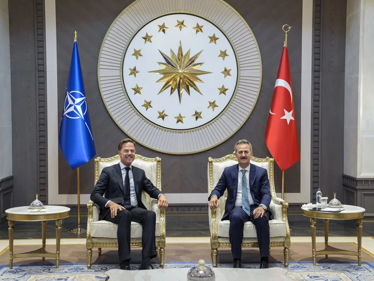 NATO summit begins in Turkiye’s Ankara: Who is attending, what is at stake?