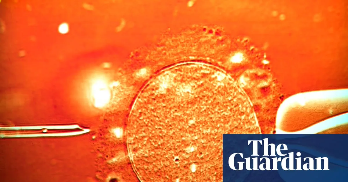 UK-based couple say overseas surrogacy agency made twins using wrong sperm
