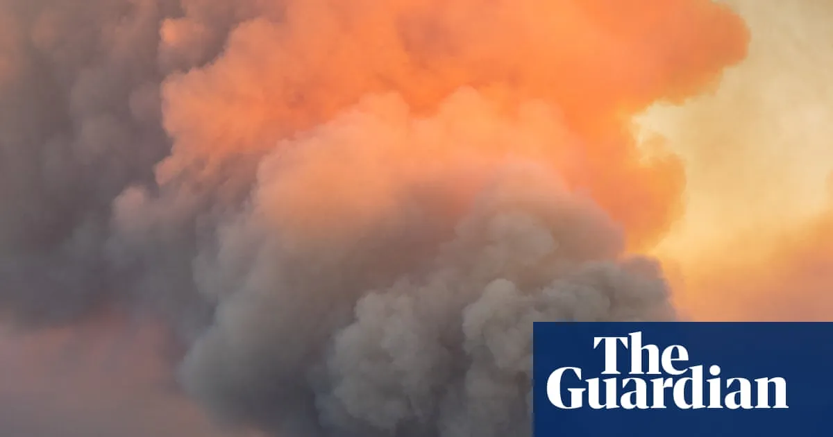 Record wildfires in Europe show failure to adapt carries a mounting cost