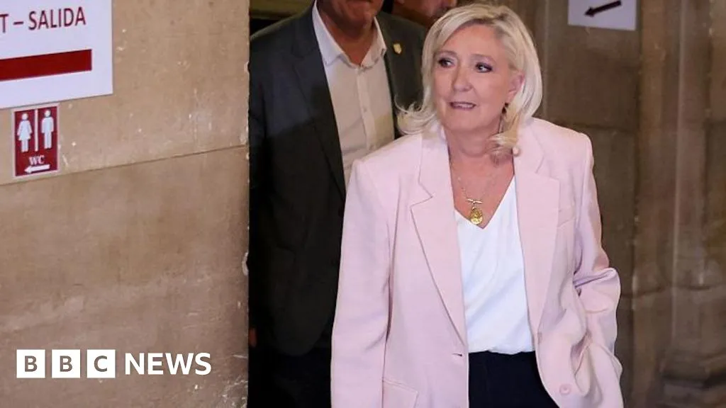 Marine Le Pen to run for French presidency and appeal conviction in top court